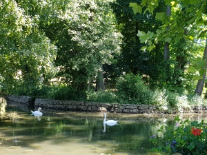 Parc du Domaine Saint Georges